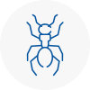 Ant Removals In Yatton