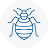 Bed Bug Extermination In Yatton