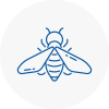 Bee Nest Removal Yatton
