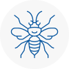 Yatton Hornet Nest Removals