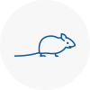 Mice Exterminators In Yatton