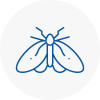 Moth Control Specialists In Yatton
