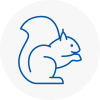 Yatton Rodent Removals