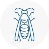 Yatton Wasp Nest Removal